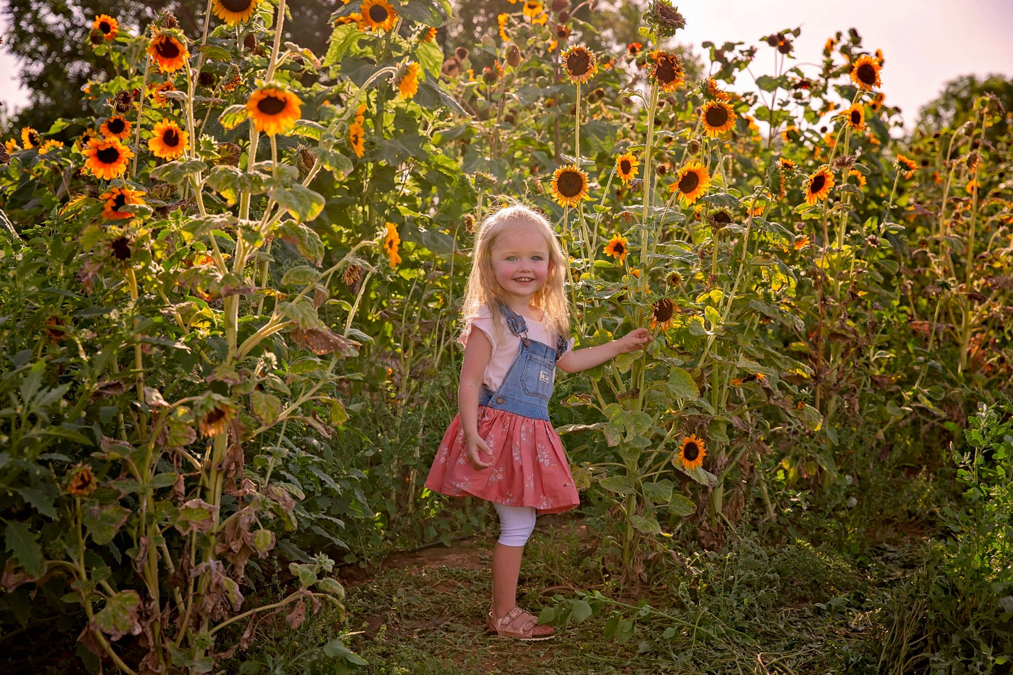 Lyla joined the competition — help win amazing prizes! agriculture, botany, ecoregion, fawn, flower, grass, grassland, happy, joy, leaf, morning, natural_environment, nature, people_in_nature, person, plant, rural_area, smile, summer, sunlight