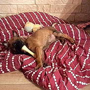 Shiva participe au concours pour gagner de l'argent avec cette photo :