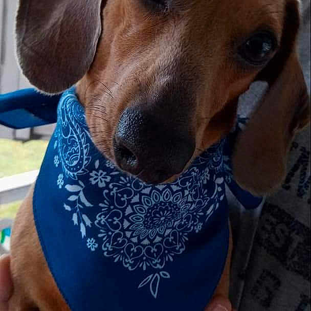 Weeman
