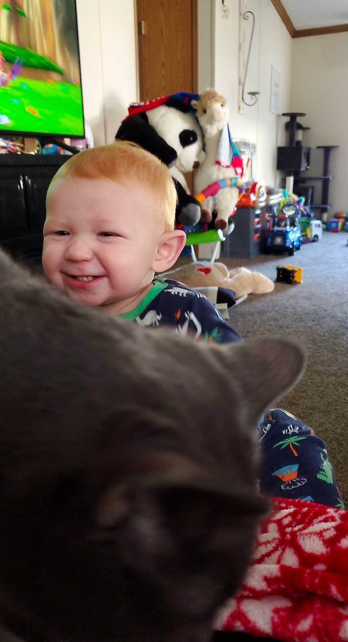 Dillon joined the competition — help win amazing prizes! baby, boston_terrier, cheek, child, christmas, christmas_eve, ear, fun, glasses, head, holiday, joy, person, play, skin, toddler, vacation