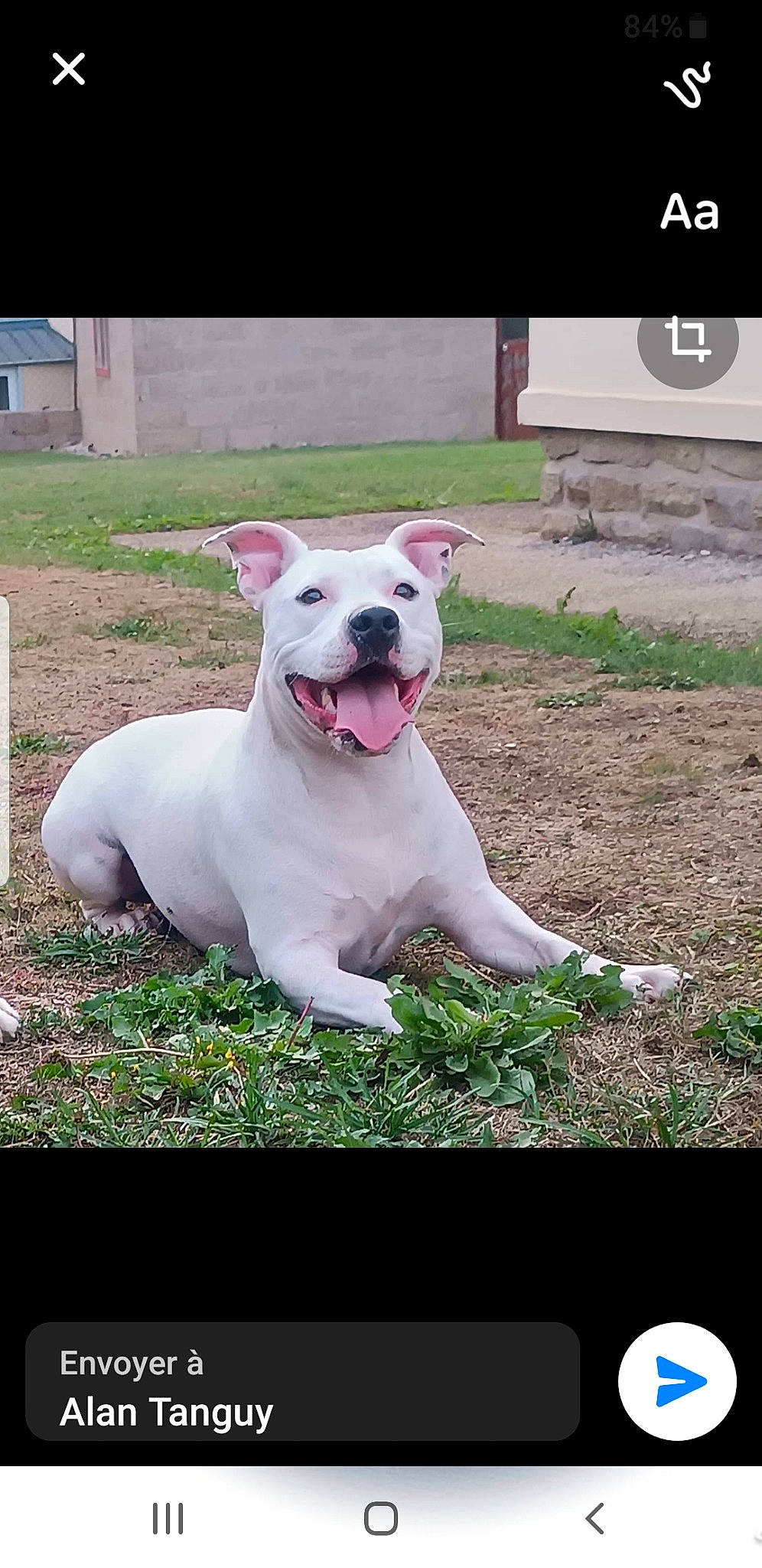 Sakia
