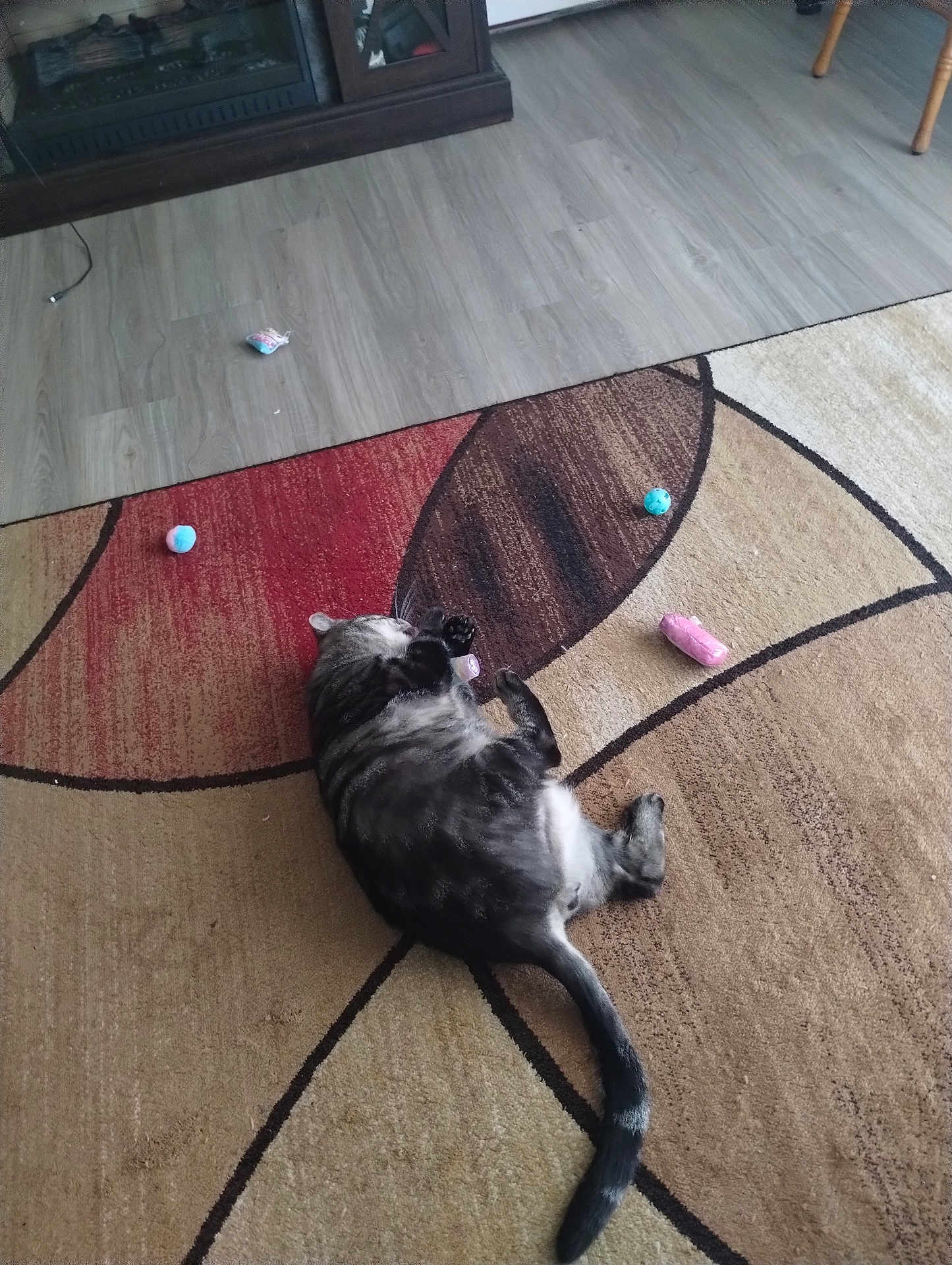 Fat Richard is registered to the contest to win money with this photo: cat, tabby, carpet, toy, indoor, floor, fireplace, relaxing, pet, animal, feline, home, cozy, sprawled, colorful, lazy, tail, paw, resting, living_room