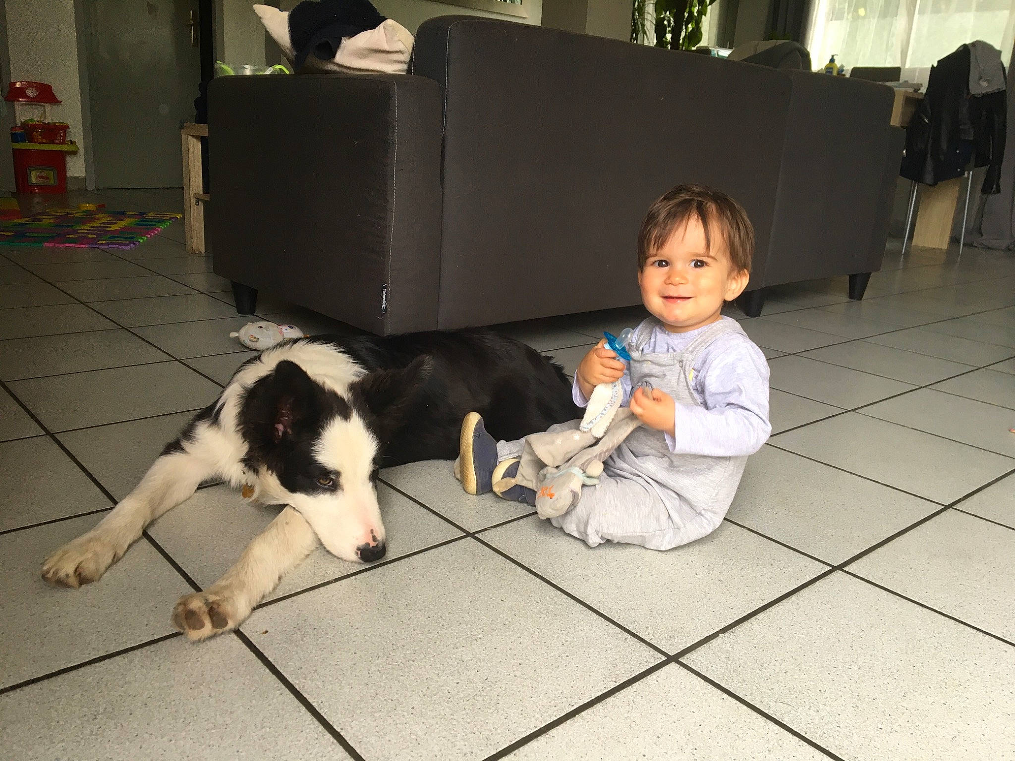 Joey participe au concours pour gagner de l'argent avec cette photo : carnivore, cat, comfort, companion_dog, dog_breed, felidae, floor, flooring, fun, fur, hardwood, joy, living_room, person, room, sitting, small_to_medium_sized_cats, smile, snapshot, tail