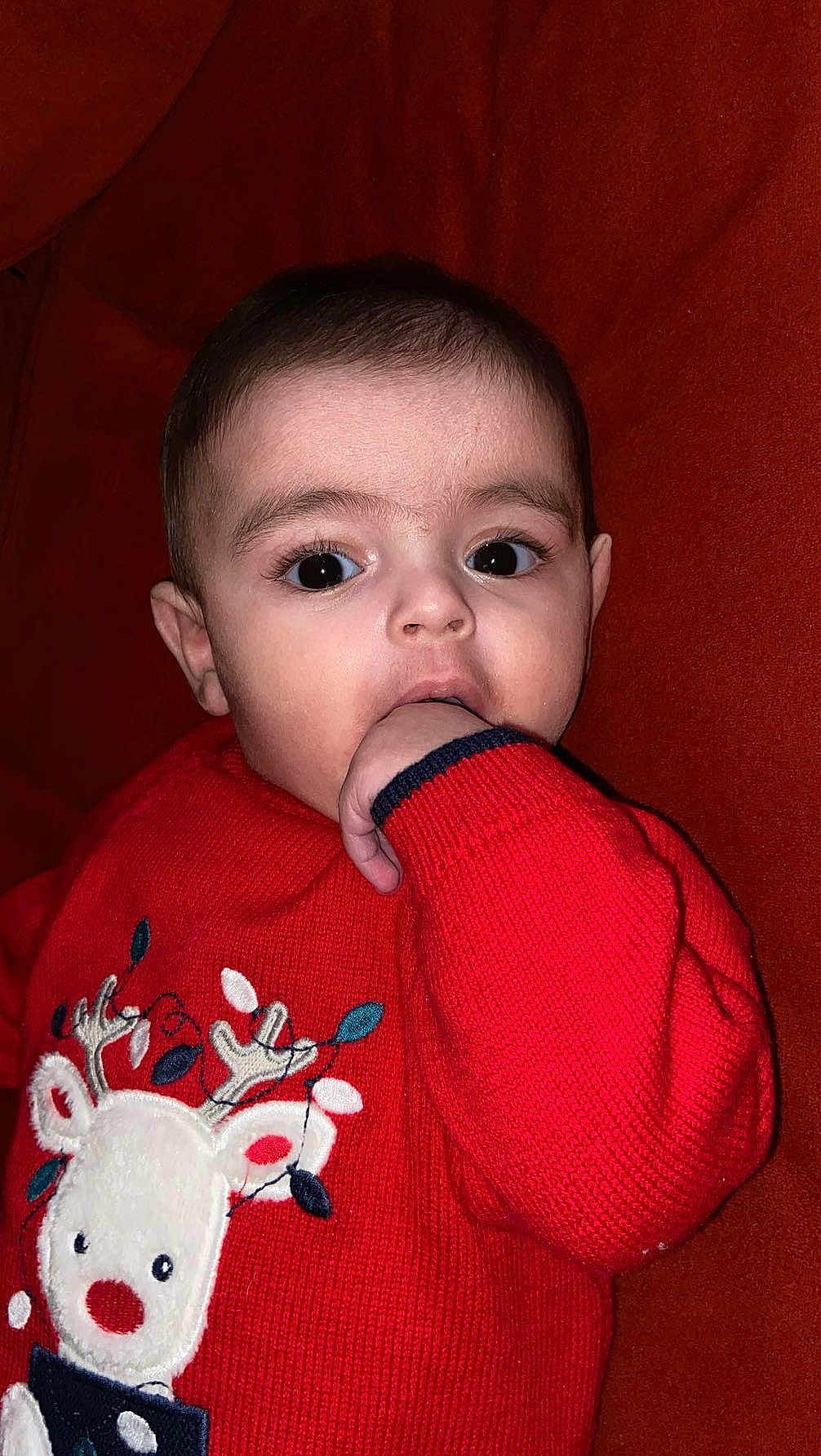 Dany participe au concours pour gagner de l'argent avec cette photo : baby, child, face, hand, sweater, red_clothing, reindeer, cute, indoor, portrait, young_child, cozy, knitwear, person, closeup, expression, eyes, sitting, warm_colors, holiday