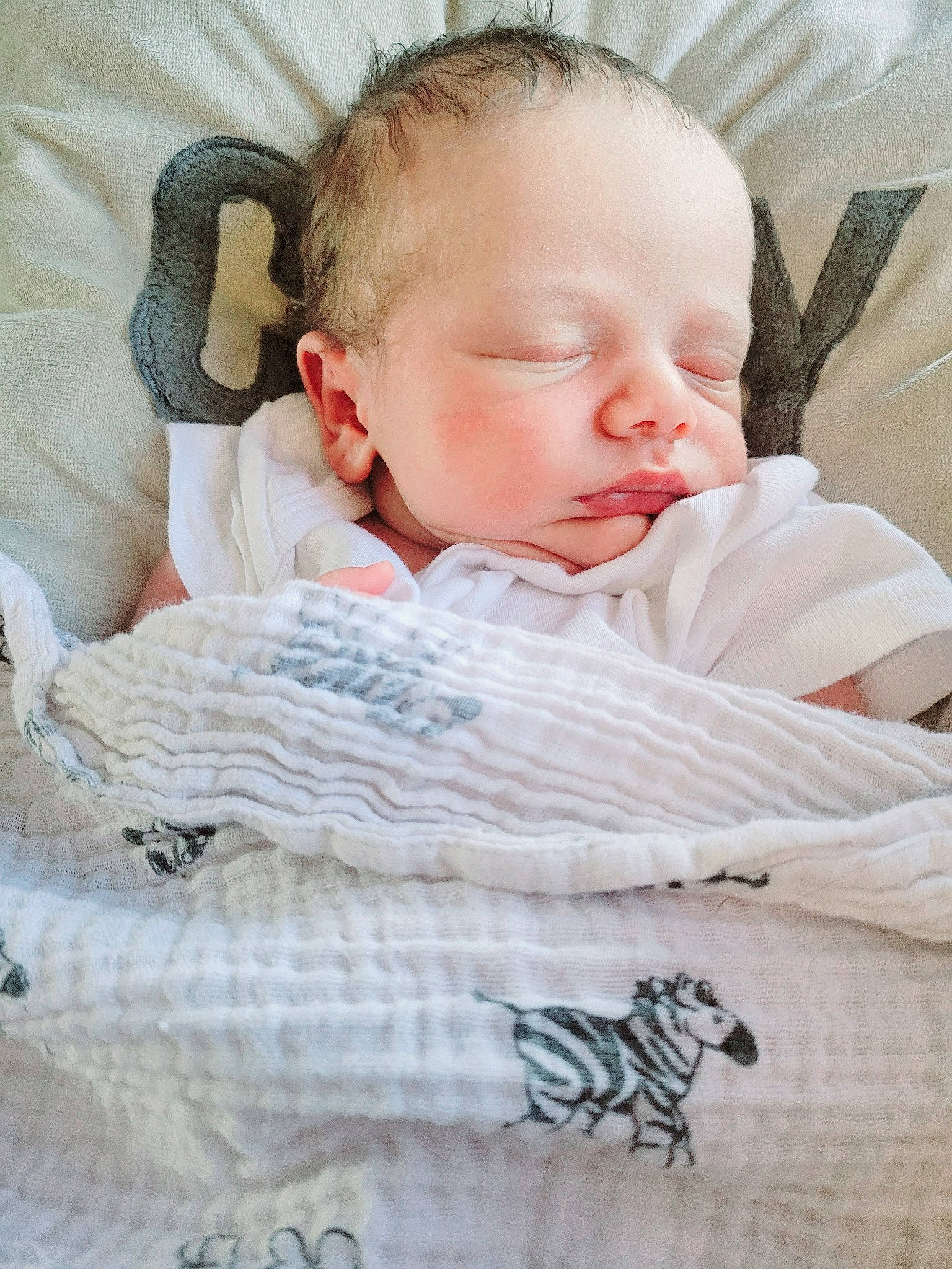 Ledger is registered to the contest to win money with this photo: baby, baby_sleeping, baby_toddler_clothing, bedding, bedtime, cheek, child, comfort, ear, eyelash, fur, head, linens, nap, neck, pattern, person, sitting, skin, toddler