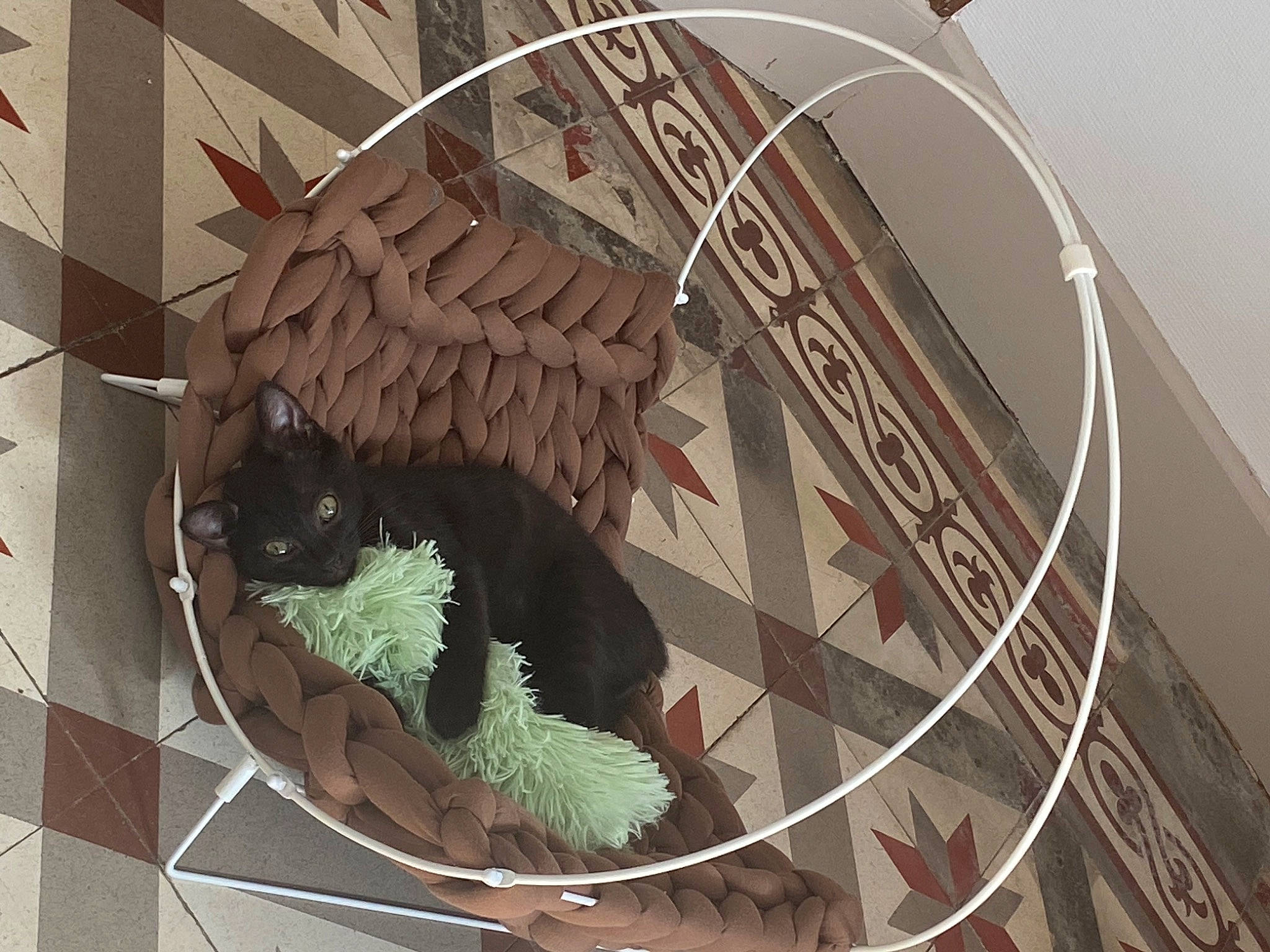 Brownie a rejoint le concours — aidez-le/la à gagner de superbes lots ! art, beak, building, circle, facade, fashion_accessory, feather, fictional_character, flag, font, graphics, logo, metal, motor_vehicle, pattern, stairs, urban_design, visual_arts, wing, wood