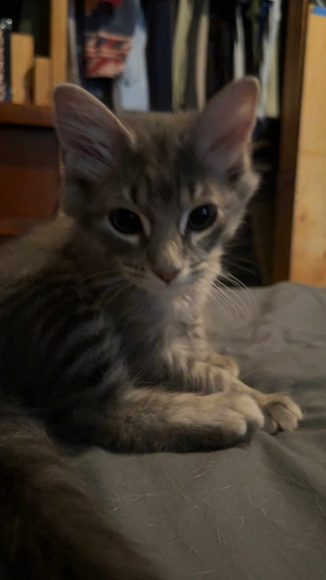 Milo