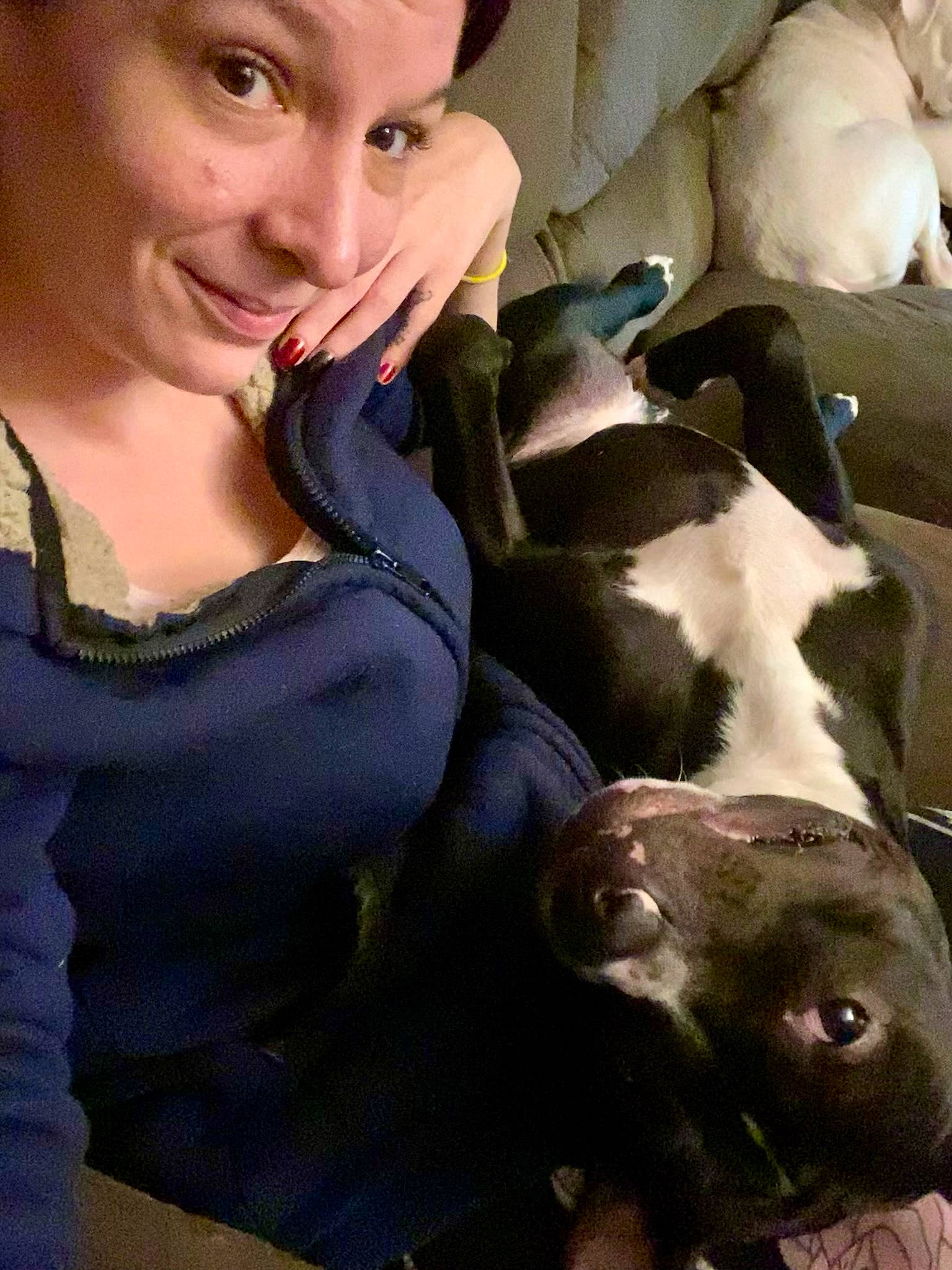 Jack is registered to the contest to win money with this photo: canidae, carnivore, comfort, companion_dog, dog, dog_breed, ear, eye, fawn, fur, gesture, happy, jaw, nose, selfie, smile, snout, sporting_group, whiskers, working_animal