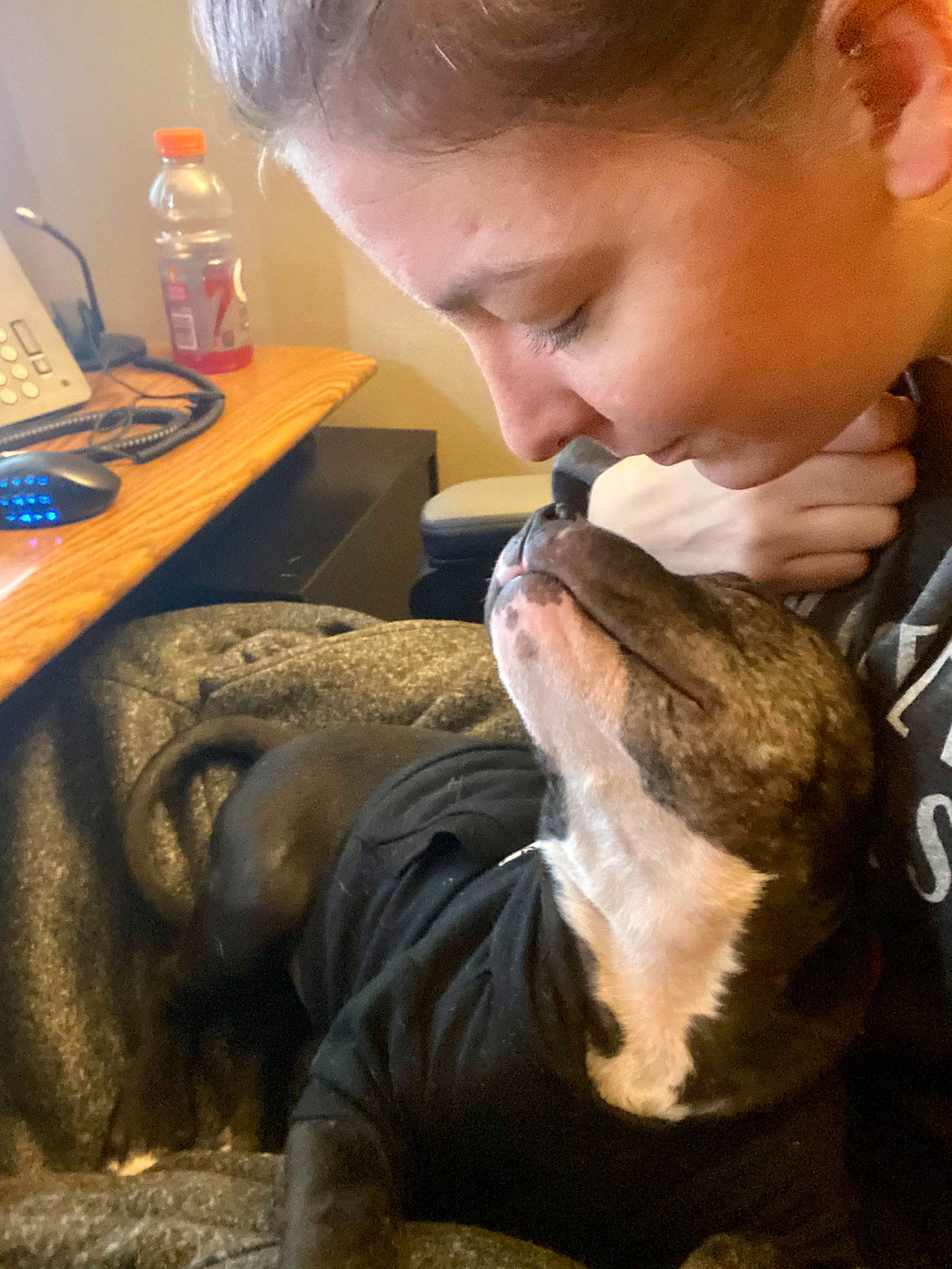 Jack joined the competition — help win amazing prizes! bottle, canidae, carnivore, child, collar, companion_dog, dog, dog_breed, ear, fawn, fur, jaw, plastic_bottle, skin, snout, sporting_group, table, veterinarian, water_bottle, wrinkle