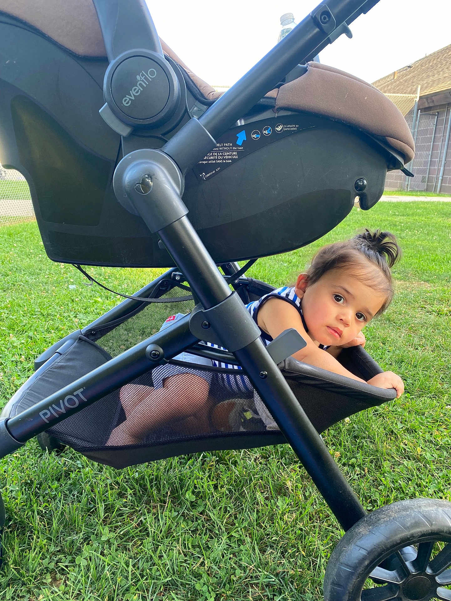 Zyon Levo joined the competition — help win amazing prizes! toddler, child, stroller, mesh_basket, grass, outdoor, curious, baby, person, wheel, black_frame, clothing, blue_stripes, hair_tie, playful, sunlight, daytime, park, resting, face