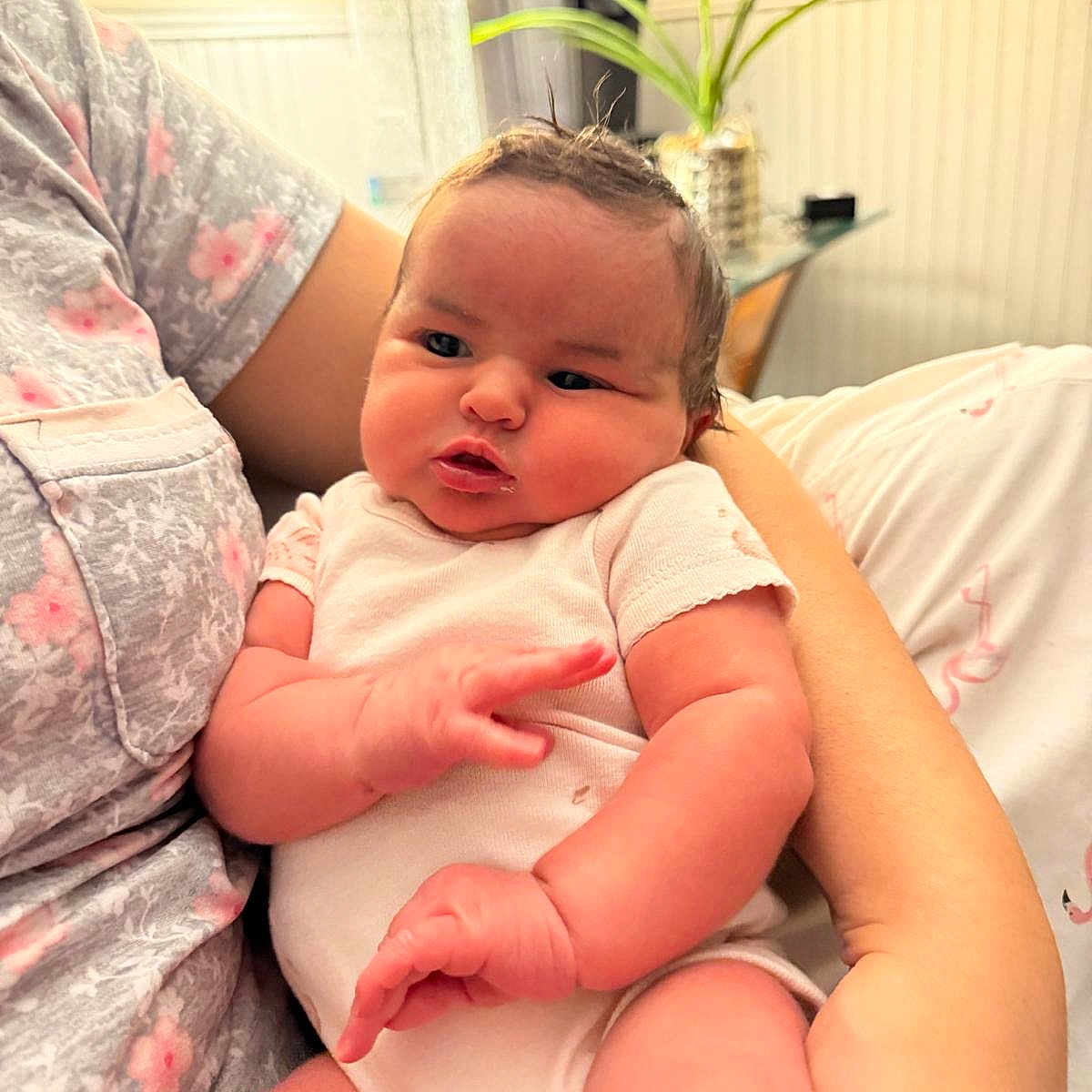 Ayla