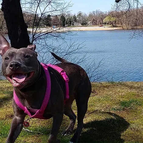 Mia Grace