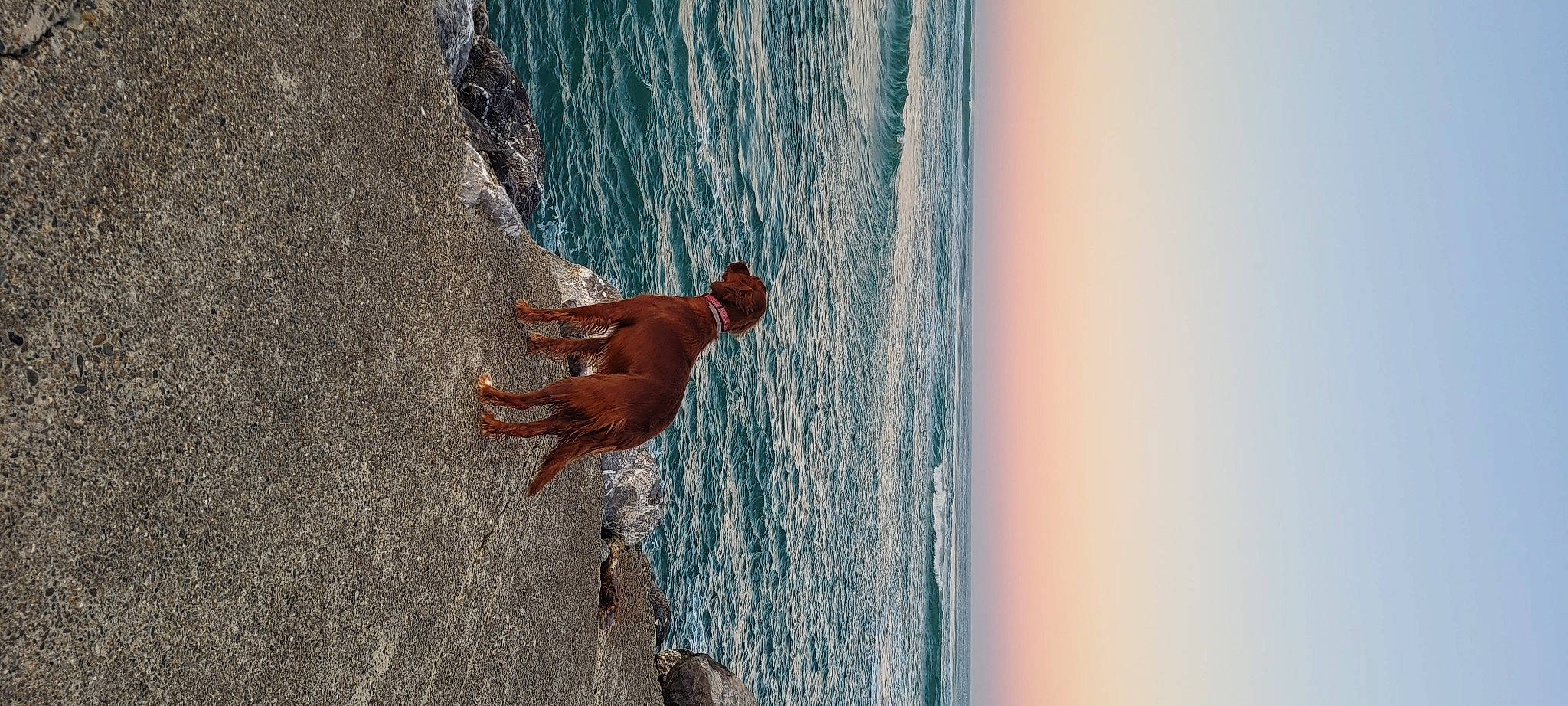 Roxie participe au concours pour gagner de l'argent avec cette photo : azure, barechested, beach, coast, fun, hair, human_body, lake, leisure, people_on_beach, recreation, sand, sky, smile, summer, tree, wall, water, wind_wave, wood