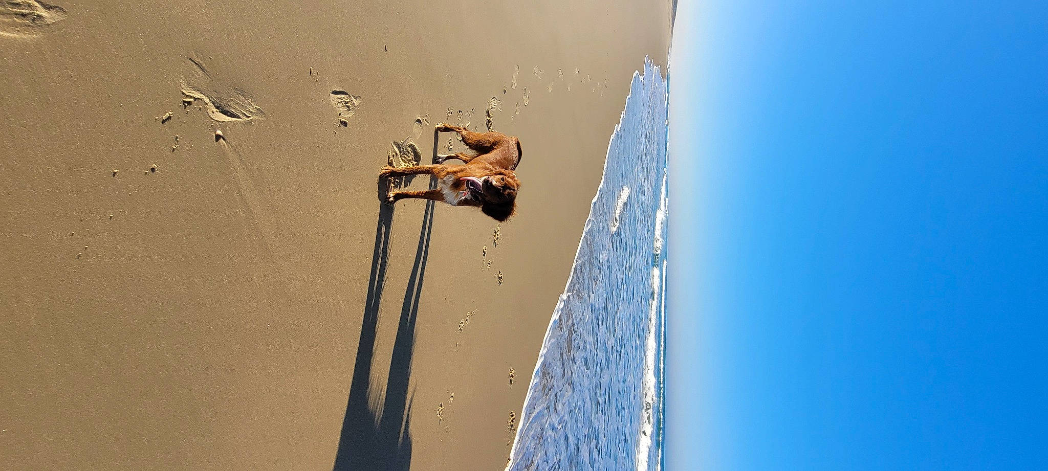Roxie participe au concours pour gagner de l'argent avec cette photo : adventure, beach, extreme_sport, fun, lake, landscape, leisure, ocean, plaster, recreation, reflection, sand, shadow, sky, slope, sport_climbing, water, wind, wing, wood