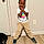 Zahir