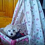 Milha Bichon Maltais Femelle Toy participe au concours pour gagner de l'argent avec cette photo : baby_products, bed, carnivoran, dog, dog_like_mammal, infant_bed, non_sporting_group, pink, product, textile, vertebrate