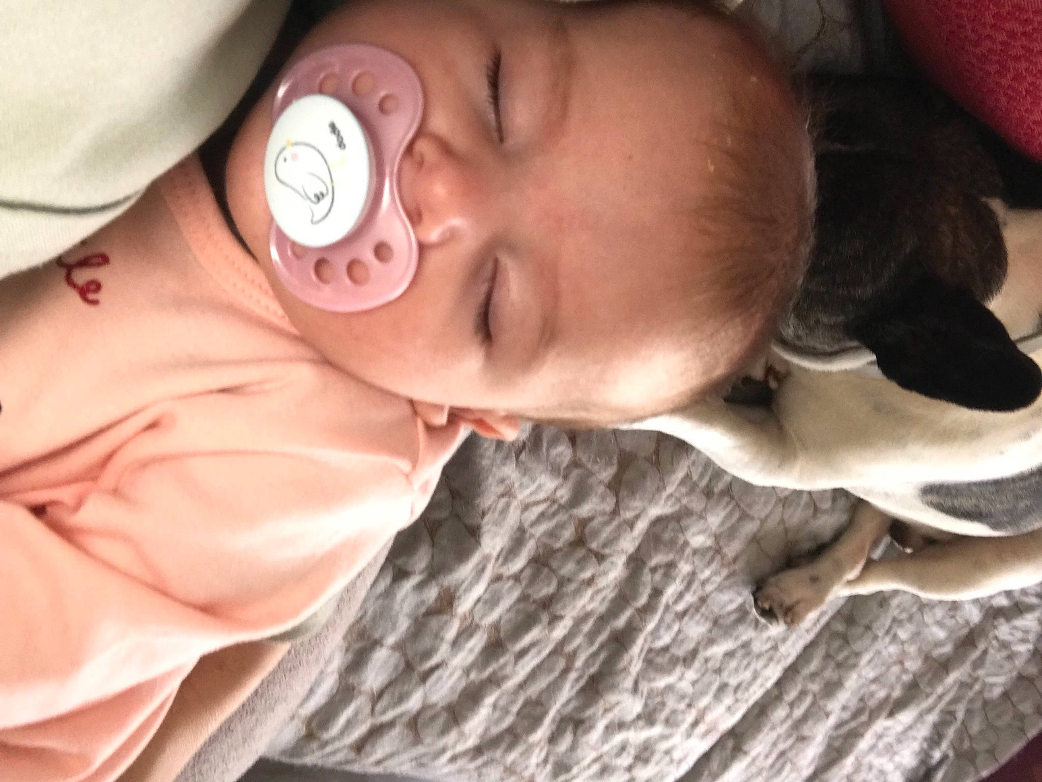 Marianne a rejoint le concours — aidez-le/la à gagner de superbes lots ! baby, baby_toddler_clothing, cheek, chin, comfort, ear, eyebrow, eyelash, face, facial_expression, finger, happy, head, headgear, lip, mouth, nose, person, skin, sleeve