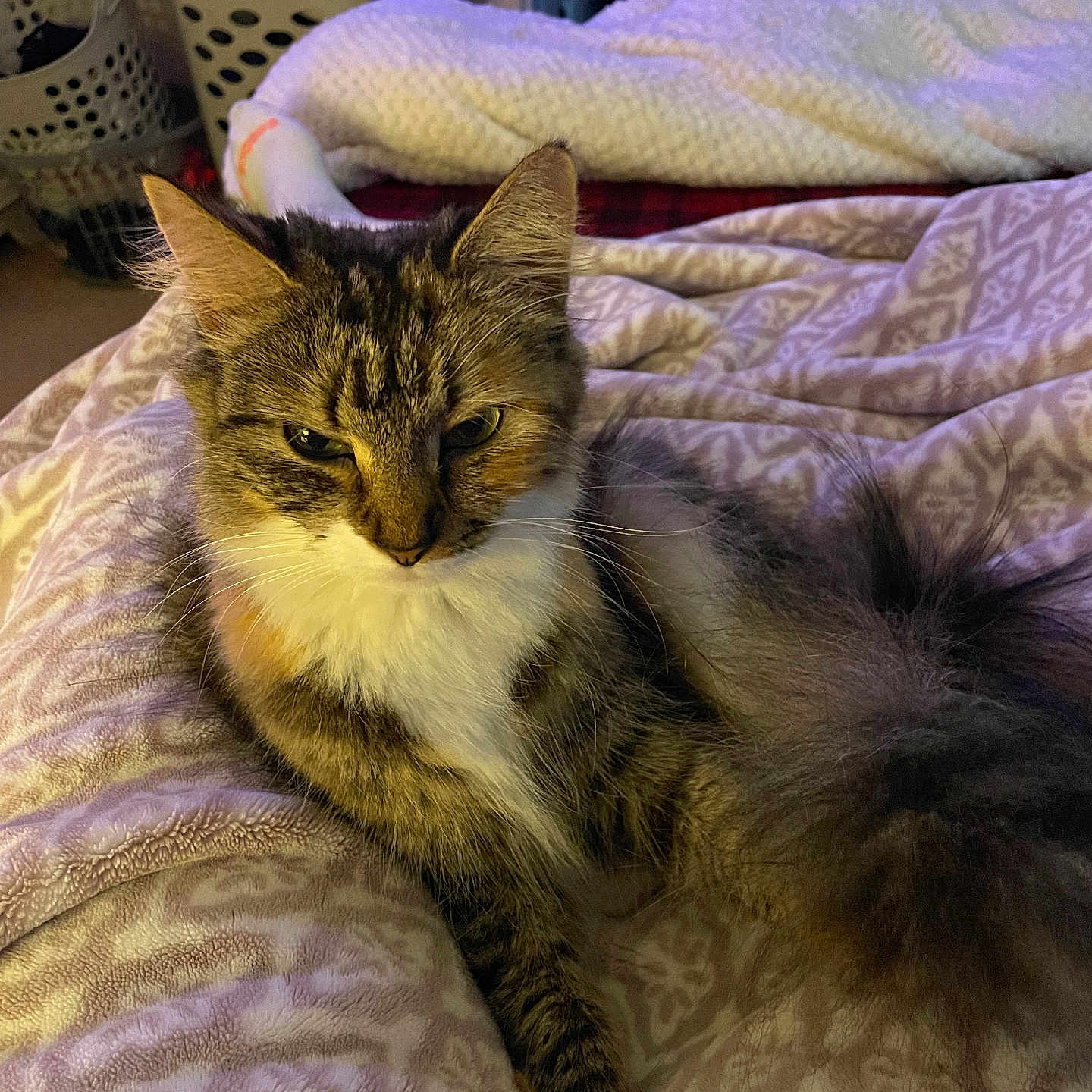 Millie