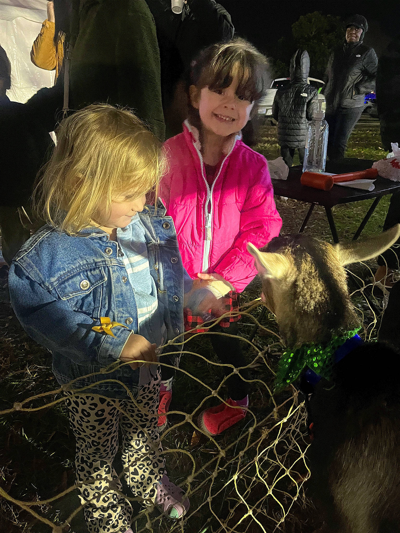Addalynn is registered to the contest to win money with this photo: adaptation, child, event, fun, grass, happy, headwear, hoodie, jacket, joy, leisure, magenta, outerwear, pattern, people_in_nature, person, recreation, sitting, smile, soil