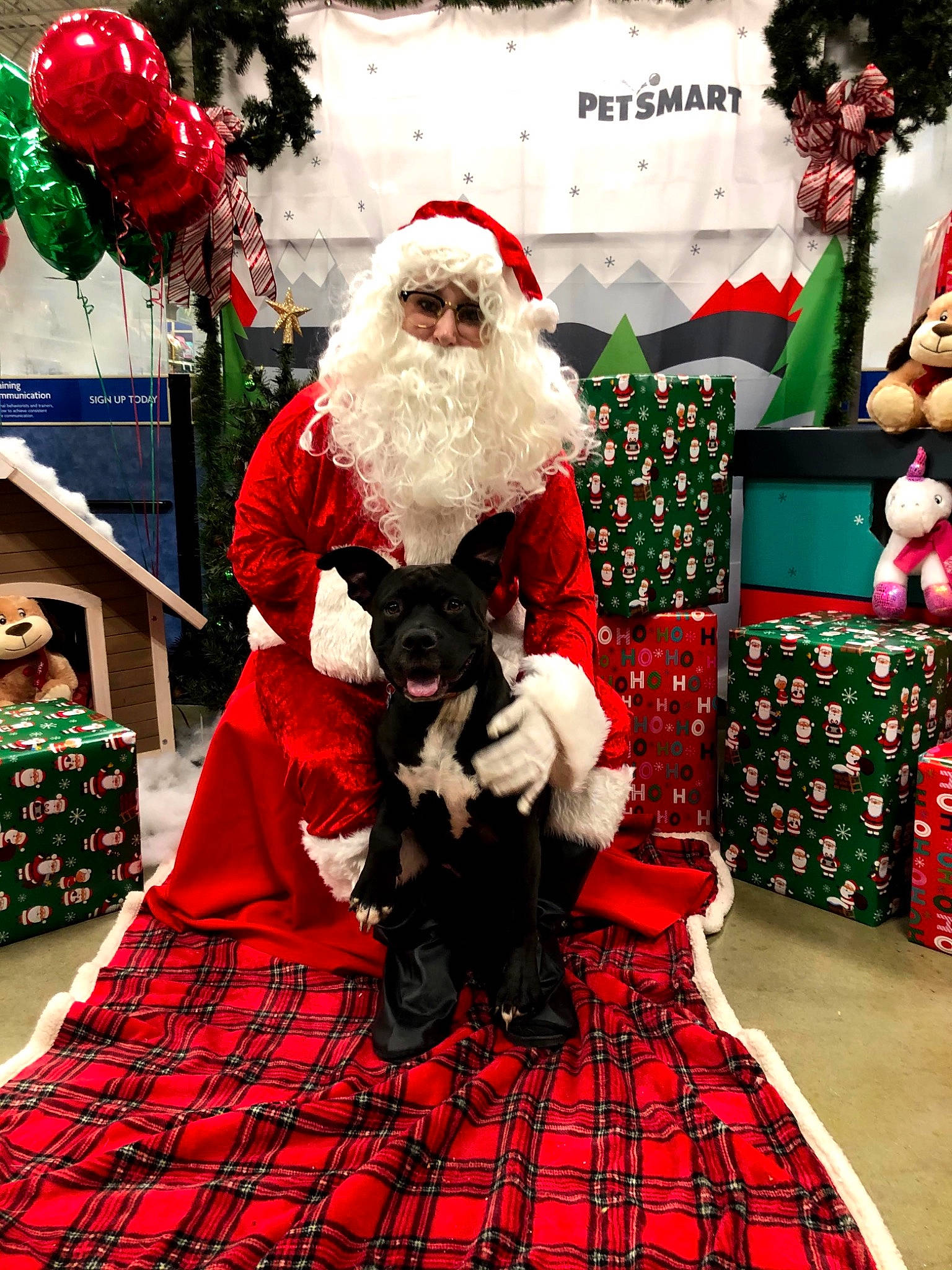 Meiko is registered to the contest to win money with this photo: beard, christmas, christmas_decoration, christmas_eve, christmas_ornament, costume_accessory, event, facial_hair, fictional_character, hat, holiday, moustache, pattern, plaid, red, santa_claus, tartan, textile, toy, winter