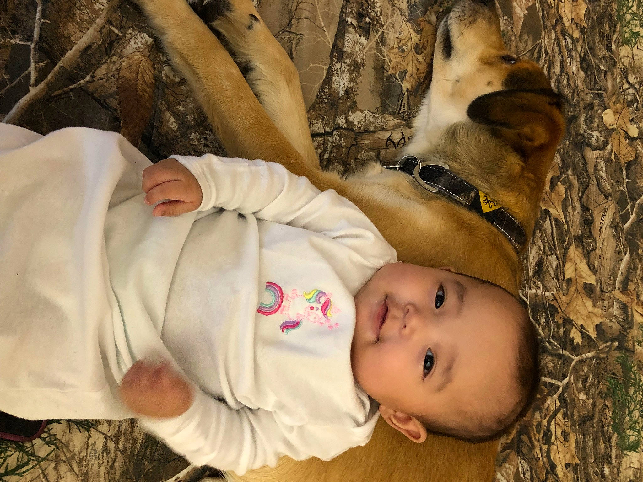 Kaelyn is registered to the contest to win money with this photo: baby, baby_toddler_clothing, carnivore, comfort, companion_dog, dog, dog_breed, fun, fur, golden_retriever, grass, happy, human_body, mouth, people_in_nature, person, smile, toddler, tree, vertebrate