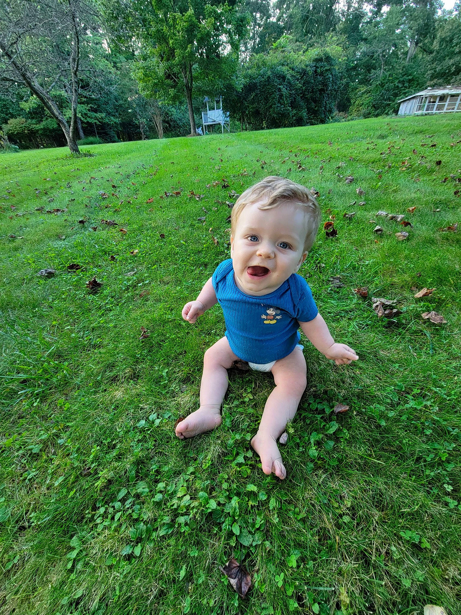 Chance joined the competition — help win amazing prizes! baby, baby_toddler_clothing, botany, fun, grass, grass_family, grassland, green, groundcover, happy, lawn, leaf, meadow, natural_environment, people_in_nature, person, plant, smile, terrestrial_plant, toddler