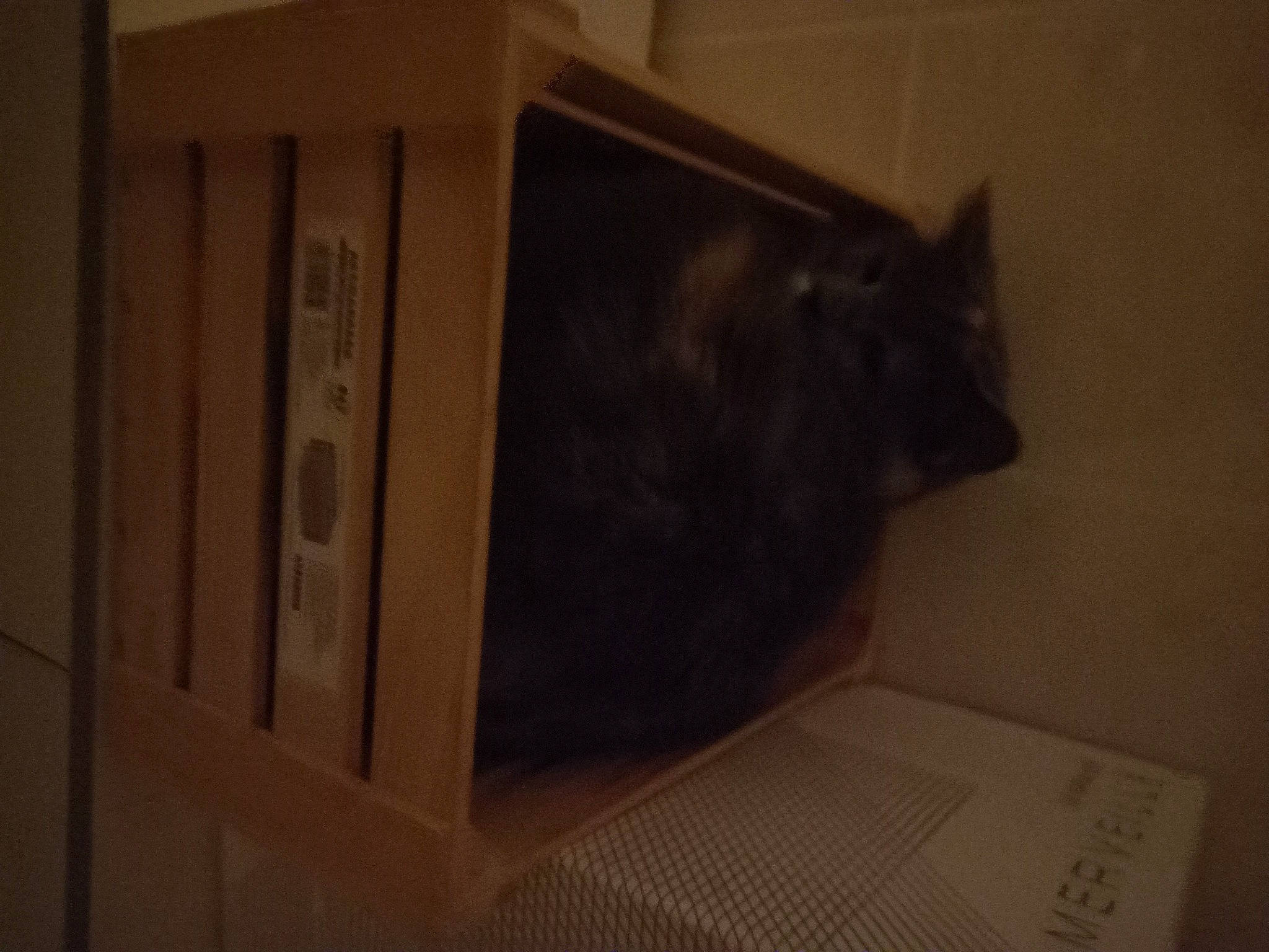 Sarabie participe au concours pour gagner de l'argent avec cette photo : audio_equipment, black_cat, cabinetry, cardboard, carnivore, cat, darkness, domestic_short_haired_cat, felidae, flooring, fur, hardwood, paper_product, room, small_to_medium_sized_cats, snout, tail, whiskers, wood