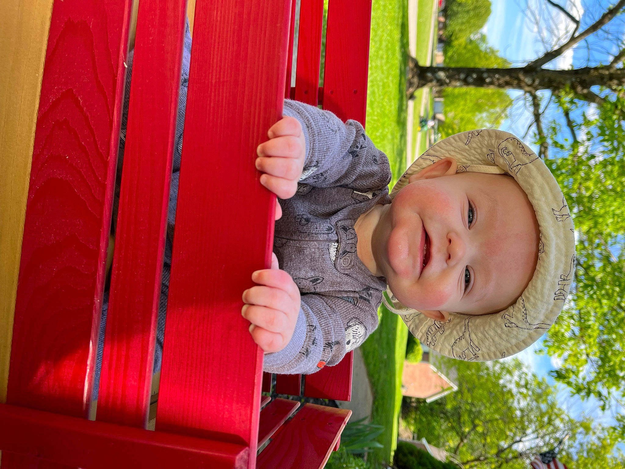 William is registered to the contest to win money with this photo: baby_toddler_clothing, child, fun, grass, green, happy, leisure, magenta, outdoor_play_equipment, people_in_nature, person, pink, plant, play, recreation, sky, smile, swing, toddler, tree