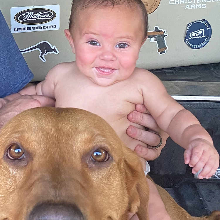 Buck joined the competition — help win amazing prizes! baby, dog, golden_retriever, smiling, tongue_out, pet, child, outdoor, cooler, stickers, boots, happy, person, animal, portrait, cute, friendship, playful, summer, fun