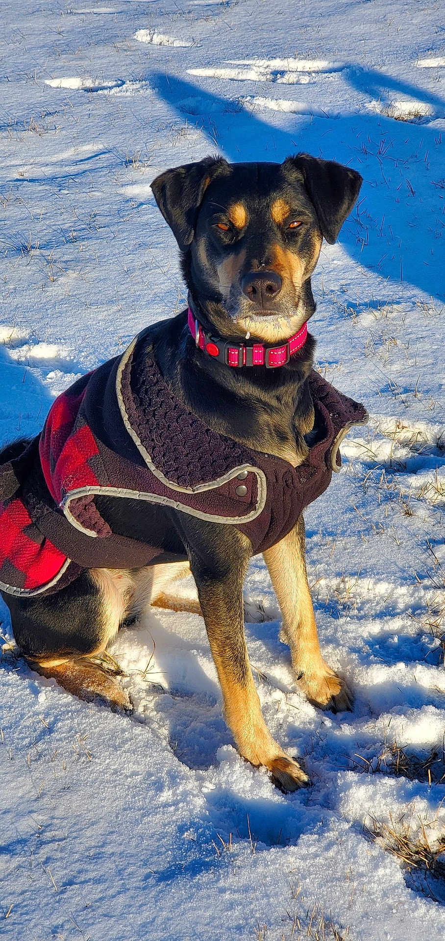 Meeka