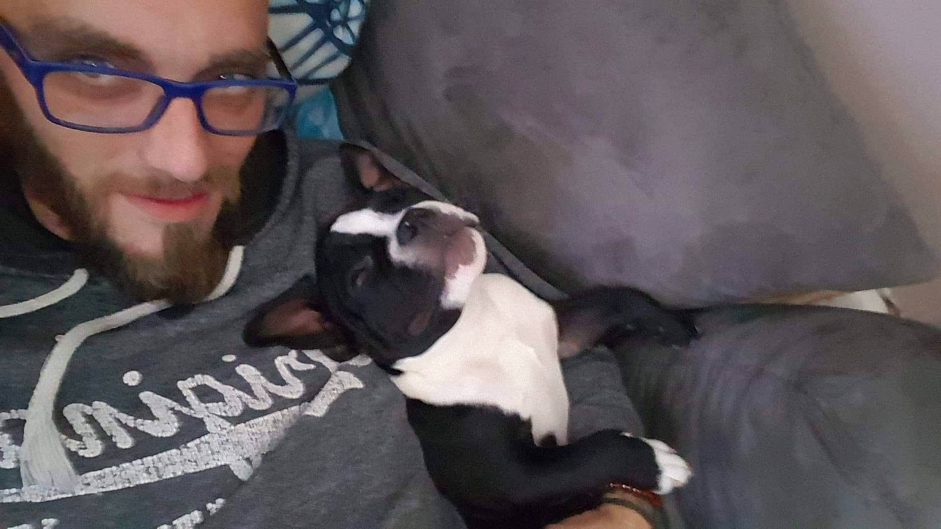 Tyson a rejoint le concours — aidez-le/la à gagner de superbes lots ! beard, boston_terrier, bulldog, carnivore, comfort, companion_dog, dog, dog_breed, ear, eyewear, fawn, glasses, grey, moustache, smile, snout, sporting_group, toy_dog, vision_care, whiskers