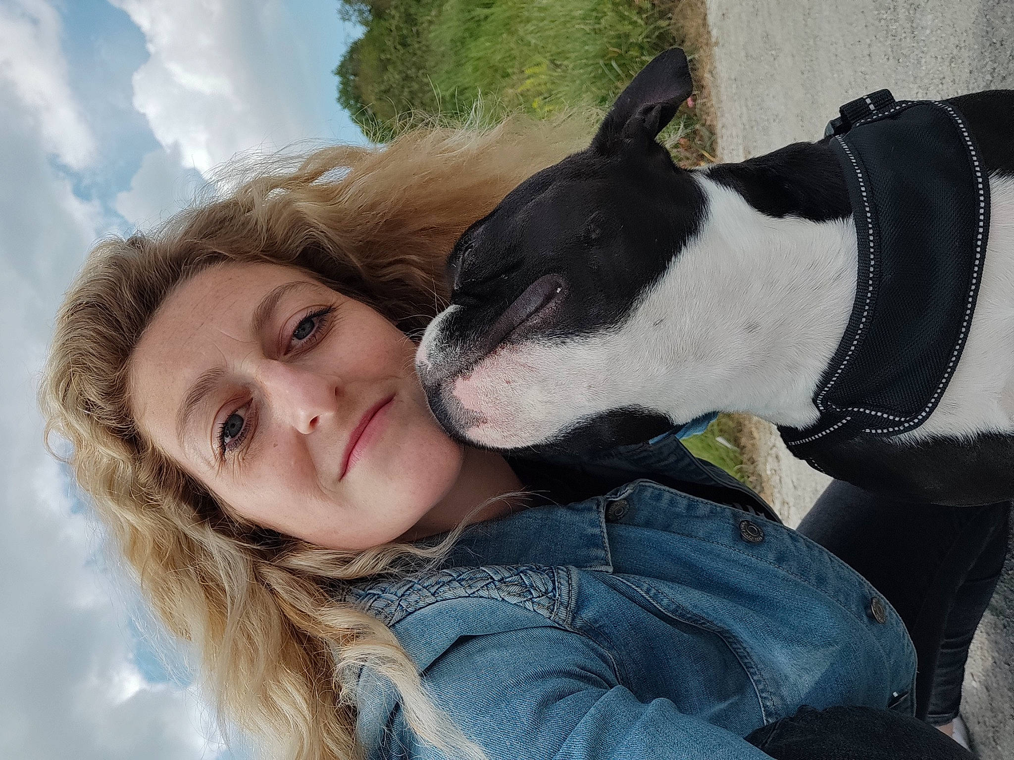 Tyson a rejoint le concours — aidez-le/la à gagner de superbes lots ! carnivore, comfort, companion_dog, dog, dog_breed, dog_collar, fawn, flash_photography, fun, fur, gesture, grass, hair, happy, love, people_in_nature, selfie, sky, smile, whiskers