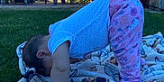 Penelope is registered to the contest to win money with this photo: child, grass, leaf, plant, textile, tree
