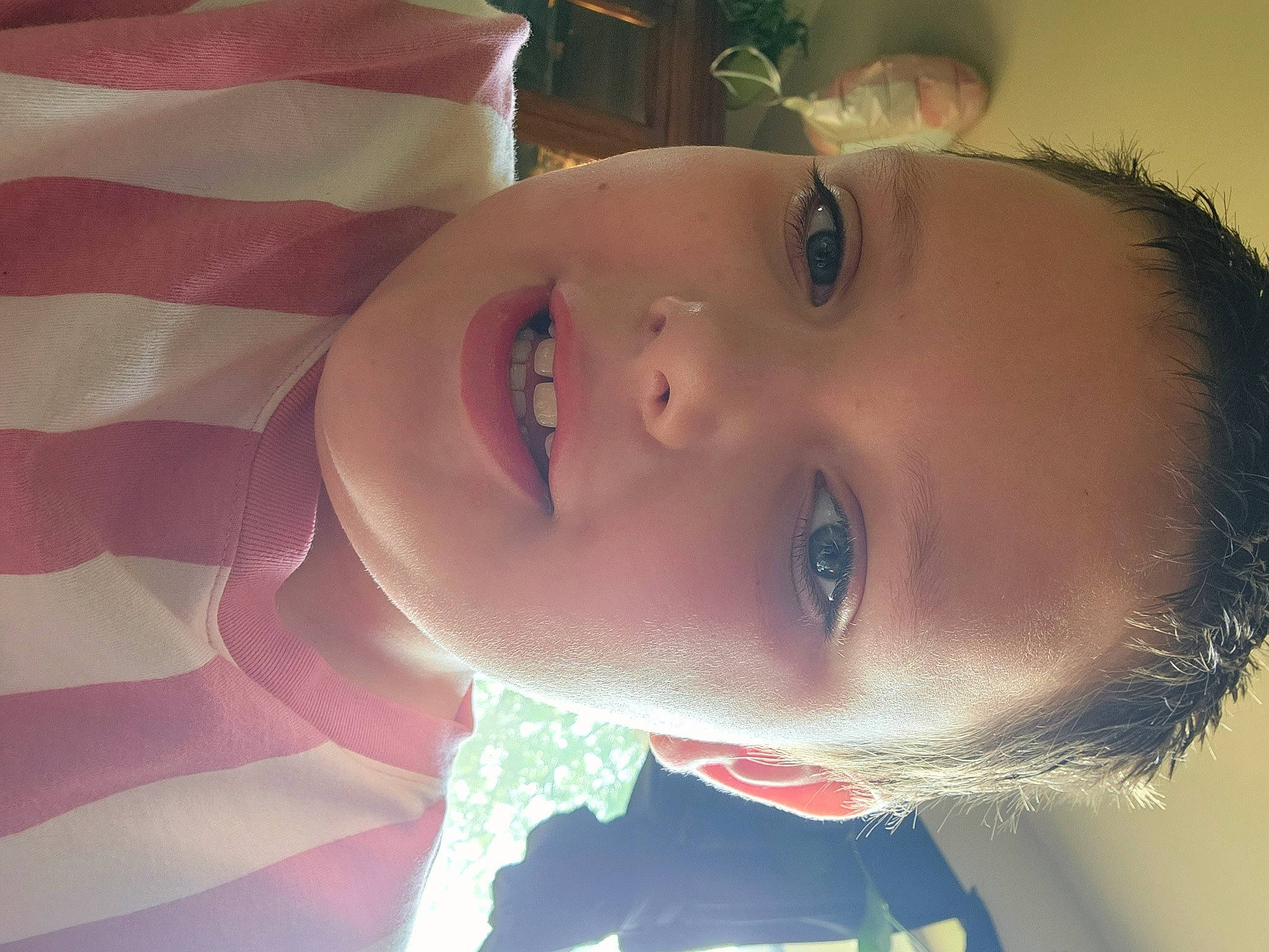 Zayden is registered to the contest to win money with this photo: cheek, chin, eye, eyebrow, eyelash, forehead, hairstyle, happy, hat, head, headgear, iris, jaw, joy, lip, mouth, neck, nose, person, plant