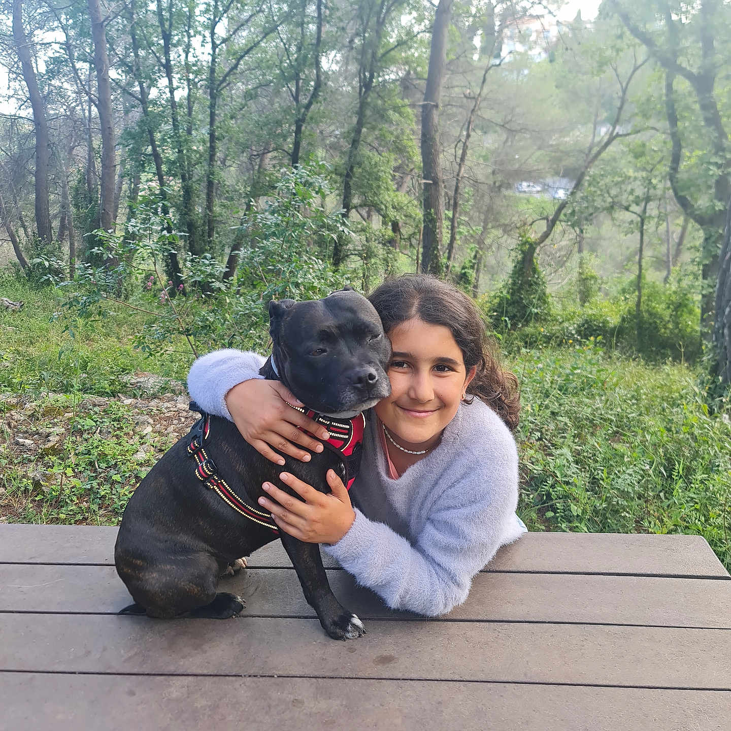 Paz a rejoint le concours — aidez-le/la à gagner de superbes lots ! accessories, animal, face, grass, grove, head, jewelry, jungle, land, nature, necklace, outdoors, person, photography, plant, portrait, tree, vegetation, wood, woodland