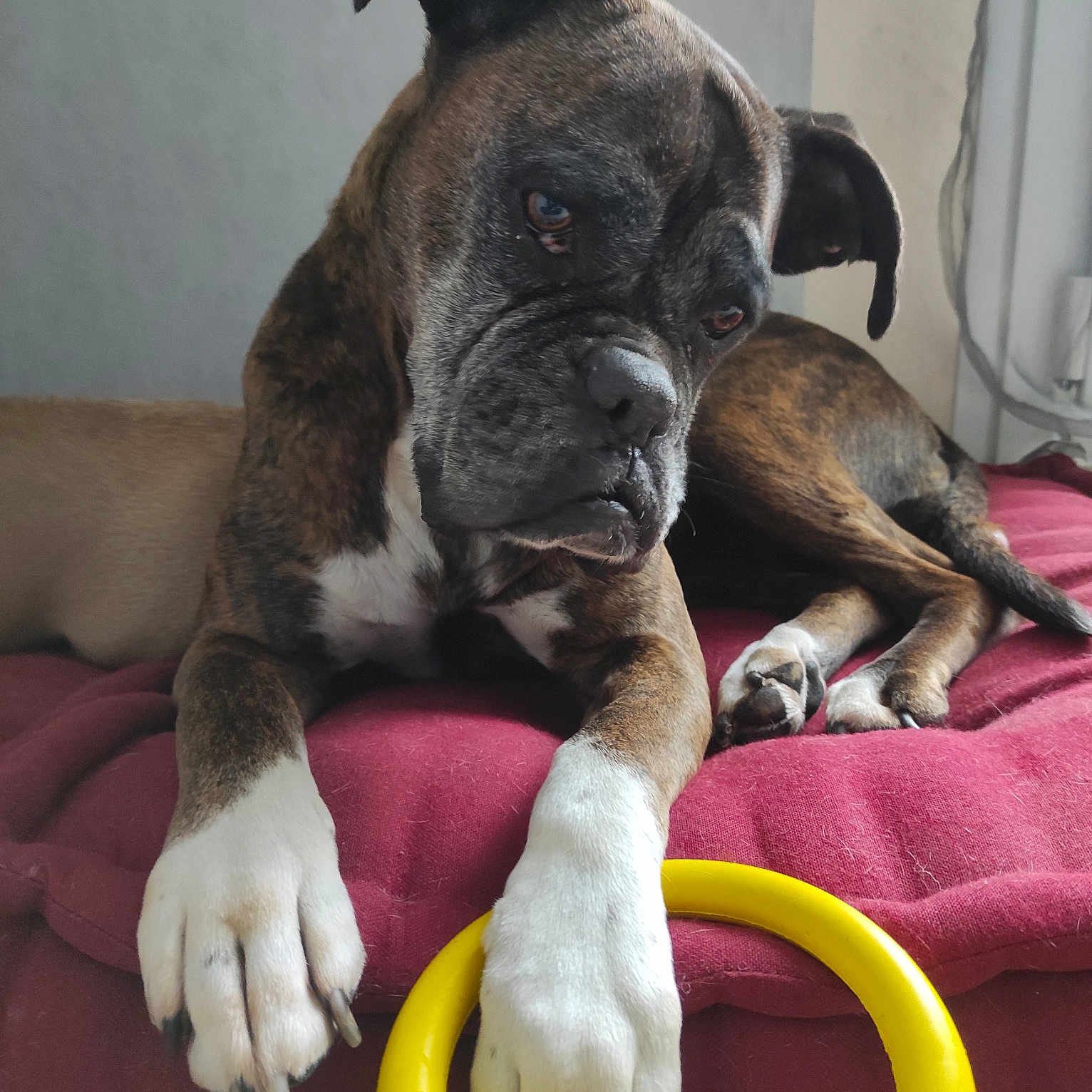 Ayka