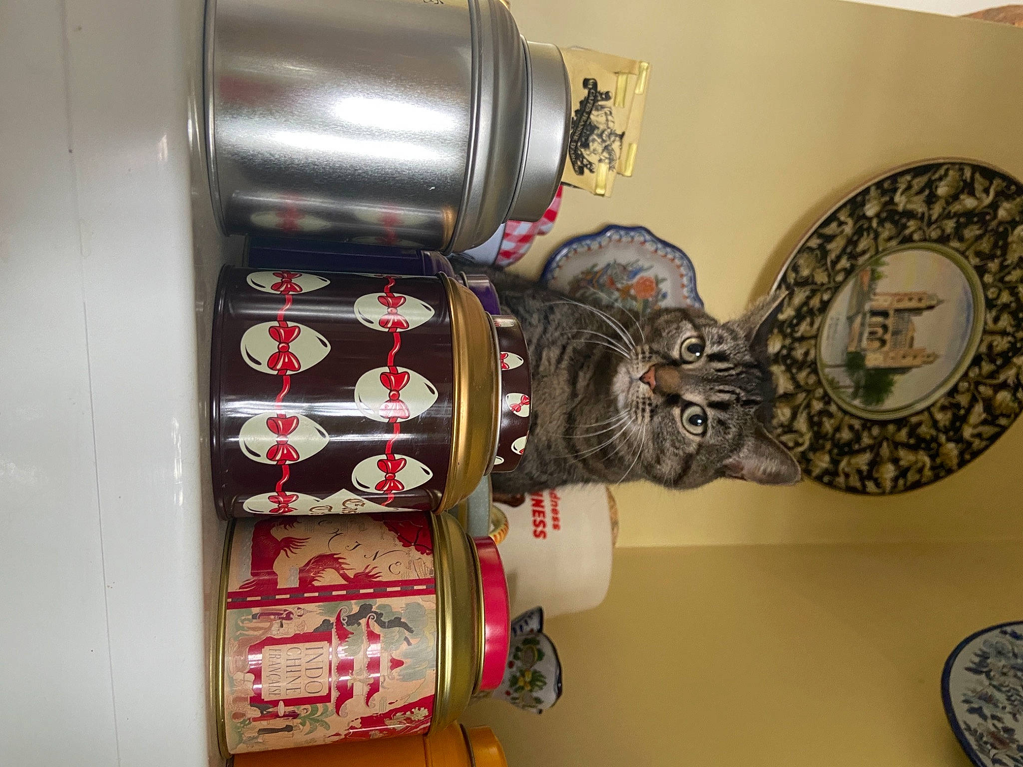 Tagada a rejoint le concours — aidez-le/la à gagner de superbes lots ! art, circle, collection, cylinder, event, fashion_accessory, hat, machine, metal, room, shelf, shelving, visual_arts