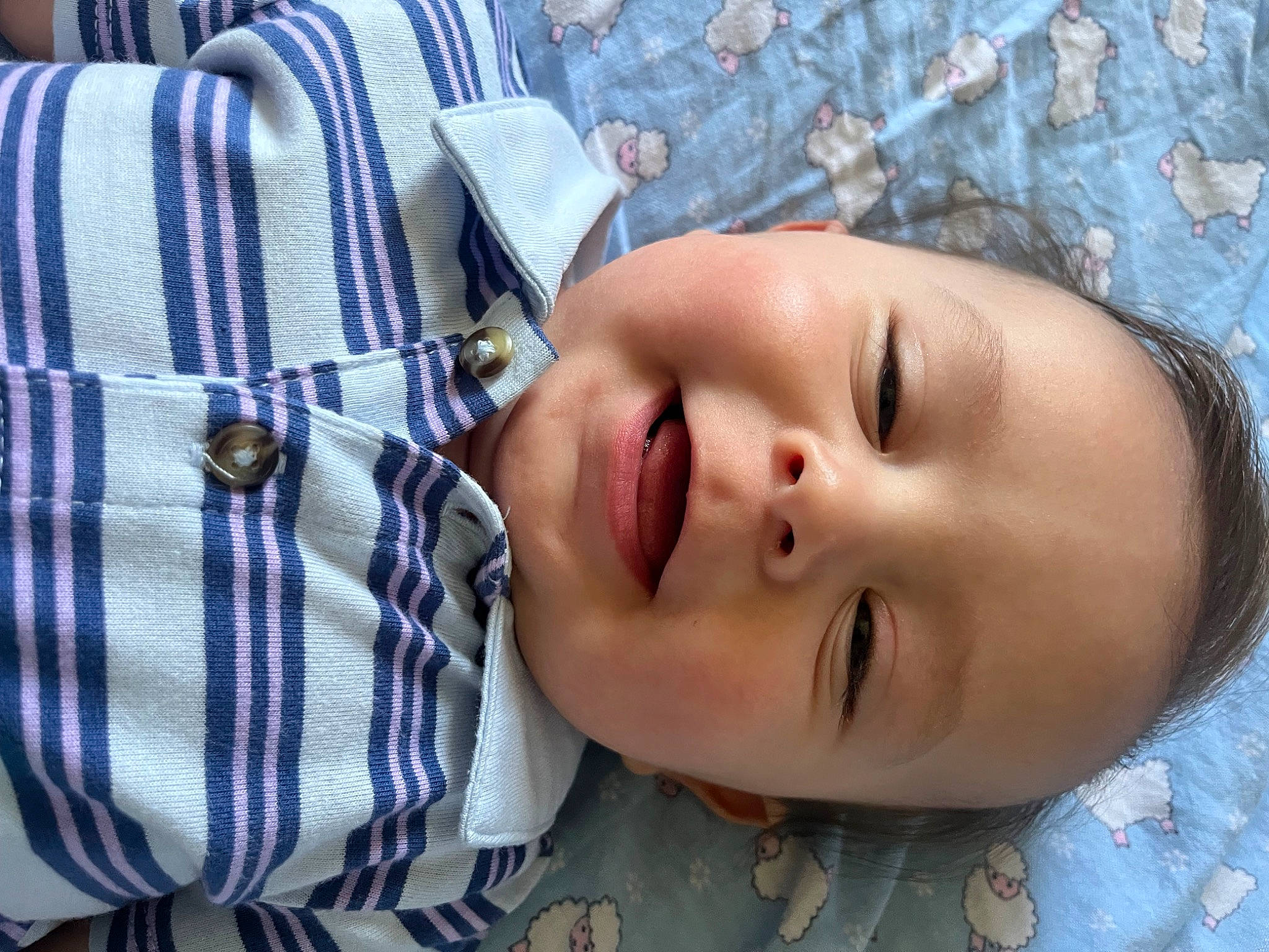 Isaiah joined the competition — help win amazing prizes! baby, baby_toddler_clothing, cheek, child, collar, comfort, cool, electric_blue, eyelash, grass, happy, iris, lip, nose, pattern, person, plaid, skin, sleeve, tartan