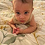 Mateo joined the competition — help win amazing prizes! baby, child, bed, blanket, pattern, leaf, animal, cat, indoor, person, face, eyes, skin, hair, hand, curious, lying, comfort, home, cute