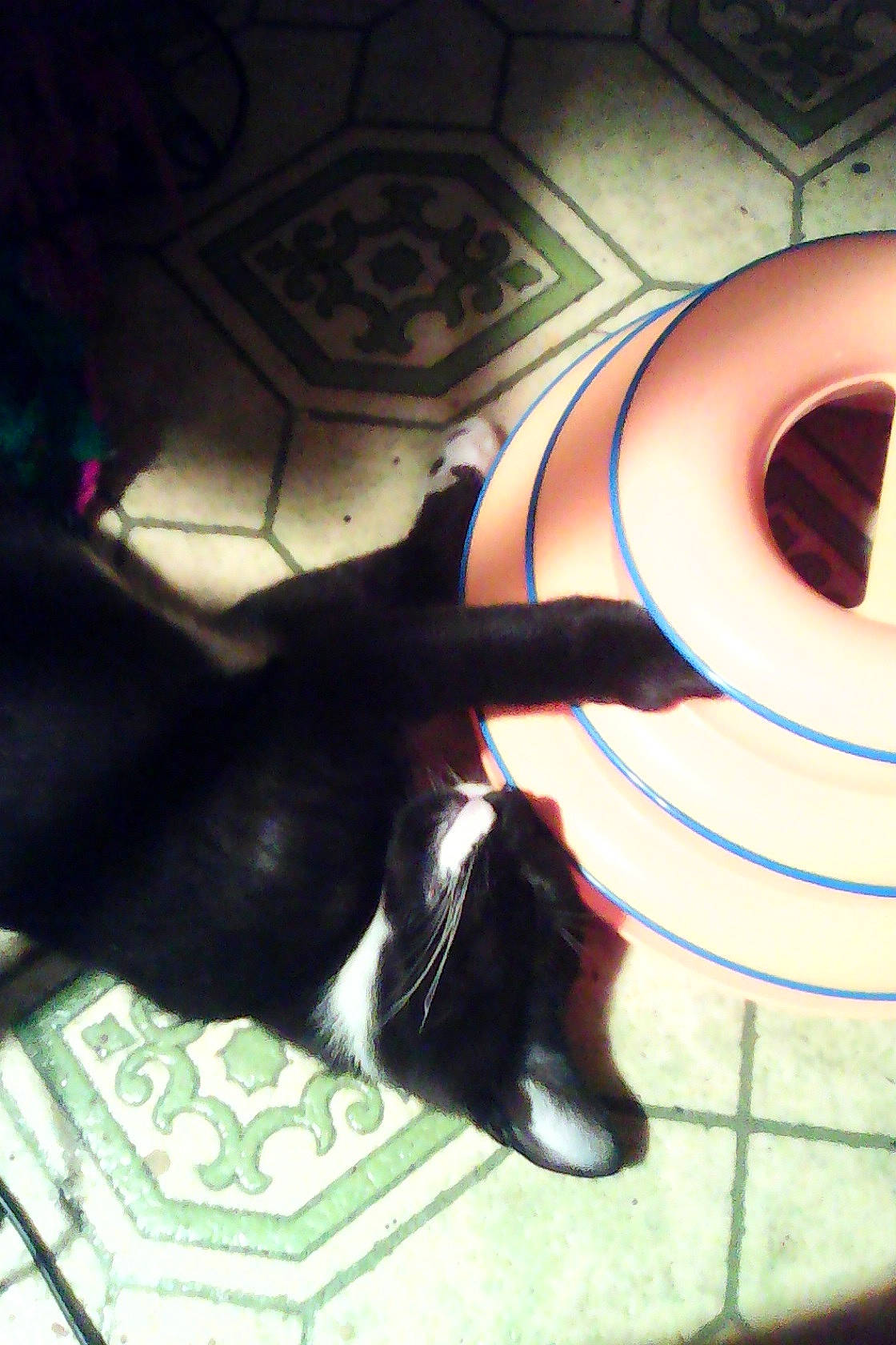 Dirk joined the competition — help win amazing prizes! architecture, art, black, black_hair, cool, ear, eye, hand, leg, long_hair, mouth, nose, photography, style, tints_and_shades