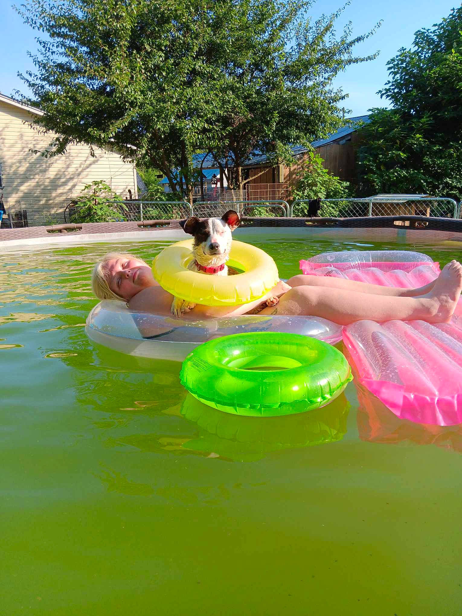 Jaxs joined the competition — help win amazing prizes! bathing, child, event, fun, garden, grass, inflatable, leisure, nonbuilding_structure, outdoor_recreation, plant, play, playground, recreation, sky, swimming_pool, toddler, tree, tubing, water