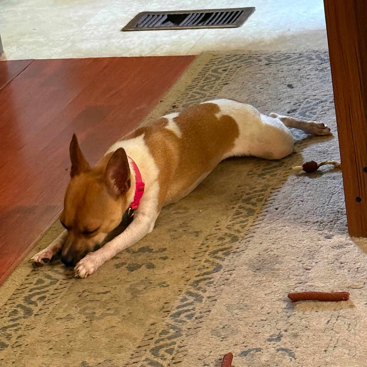 Nala