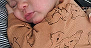 Luka is registered to the contest to win money with this photo: newborn, baby, sleeping, infant, portrait, face, closed_eyes, peaceful, swaddled, blanket, dinosaur_pattern, brown_clothing, striped_fabric, indoors, cozy, resting, head, ear, cheeks, smartphone
