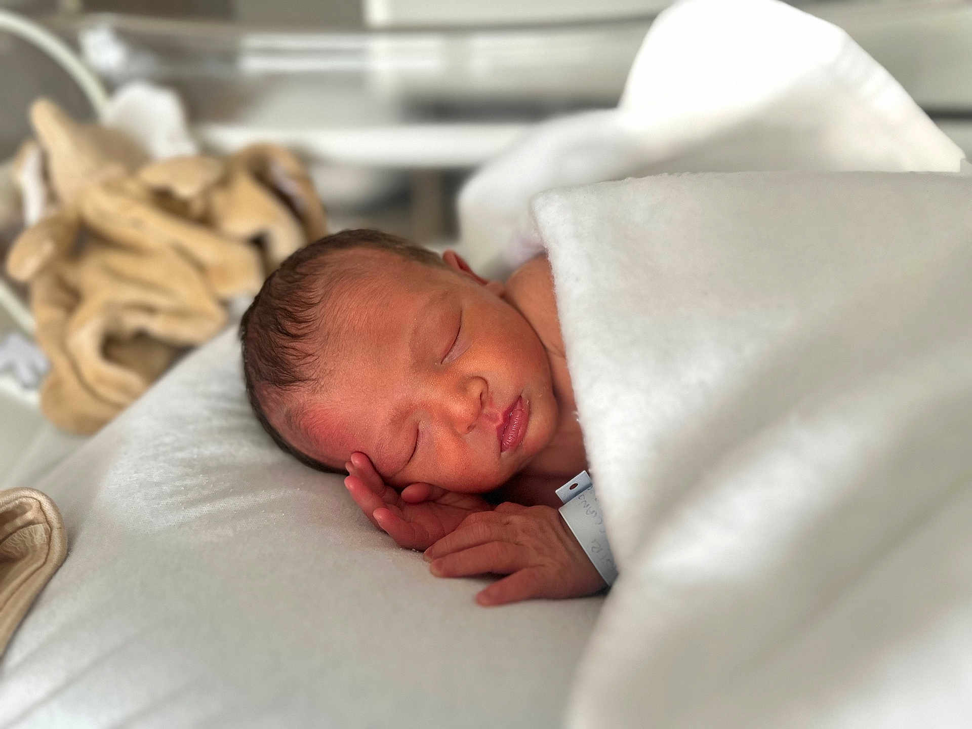 Vito-Lucciano