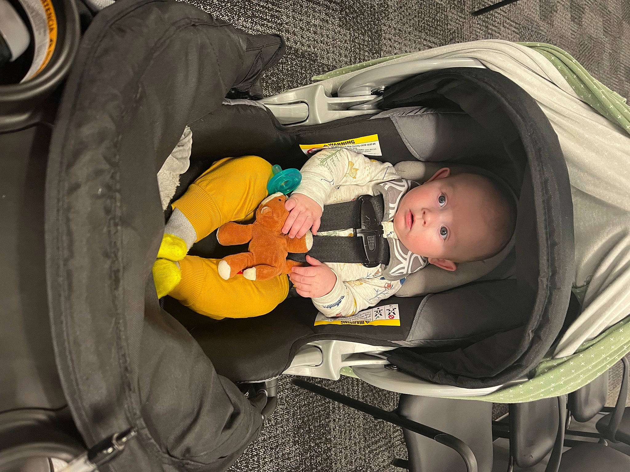 Bennett is registered to the contest to win money with this photo: auto_part, automotive_tire, baby, baby_carriage, baby_products, baby_safety, bag, baggage, car_seat, chair, child, comfort, lap, luggage_and_bags, mammal, motor_vehicle, person, product, rim, sitting