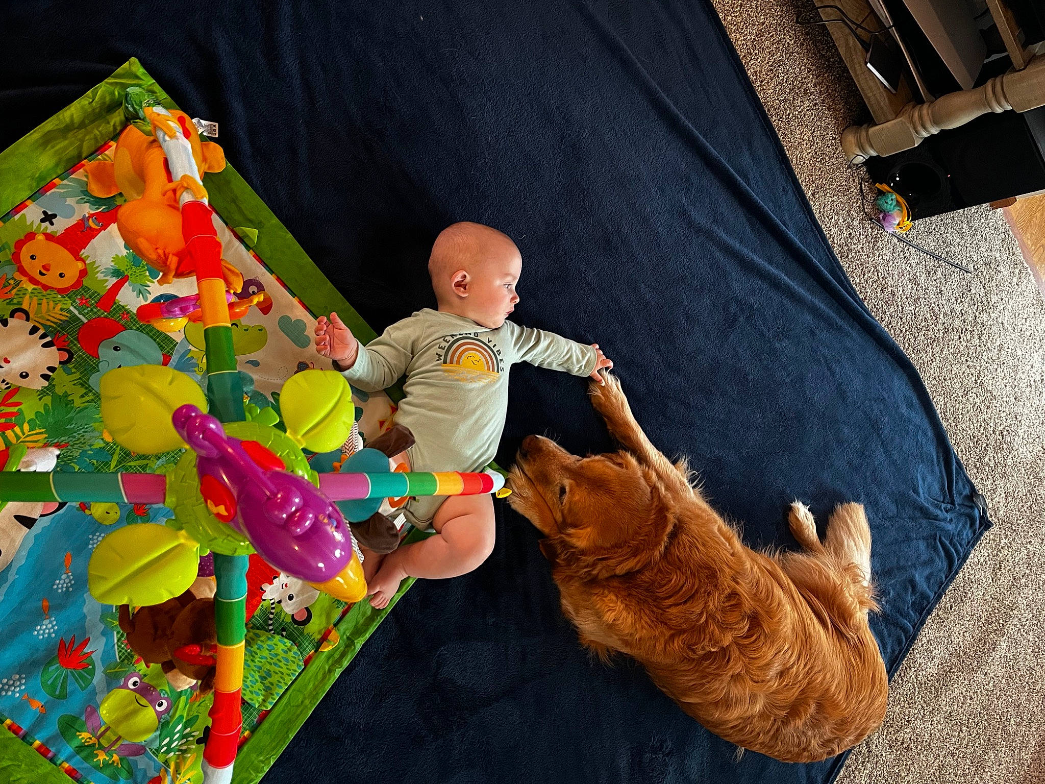 Bennett joined the competition — help win amazing prizes! adventure, art, flooring, fun, grass, happy, human_leg, leisure, people_in_nature, person, play, recreation, room, sitting, textile, toy, visual_arts, world