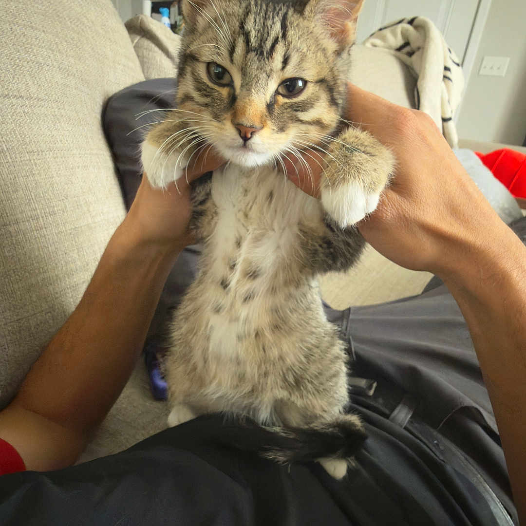 Louie