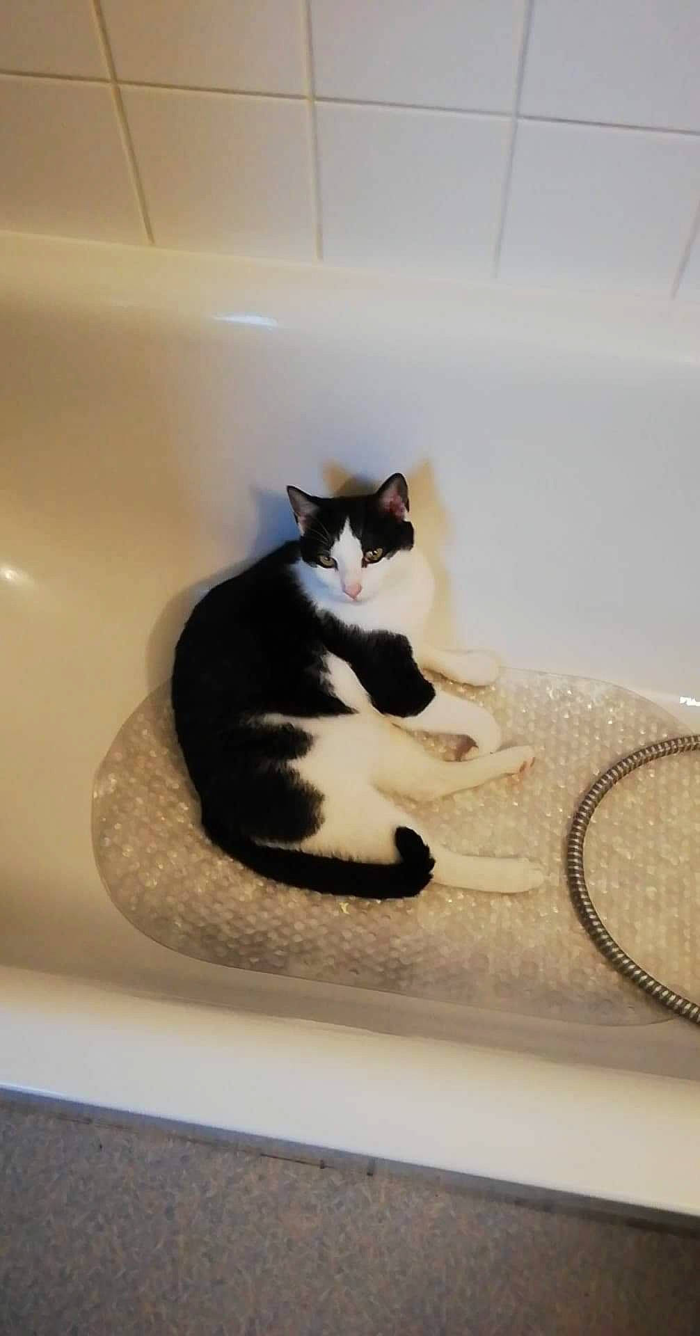 Felix