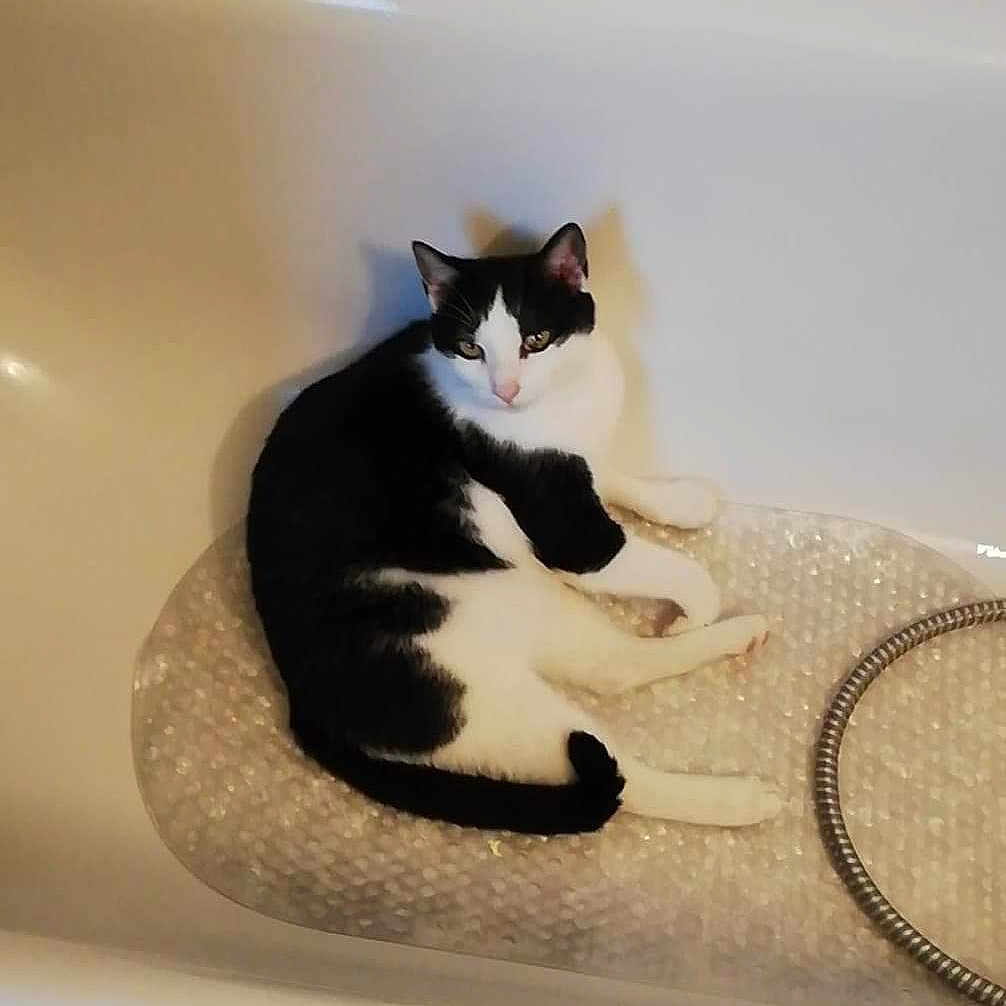Felix