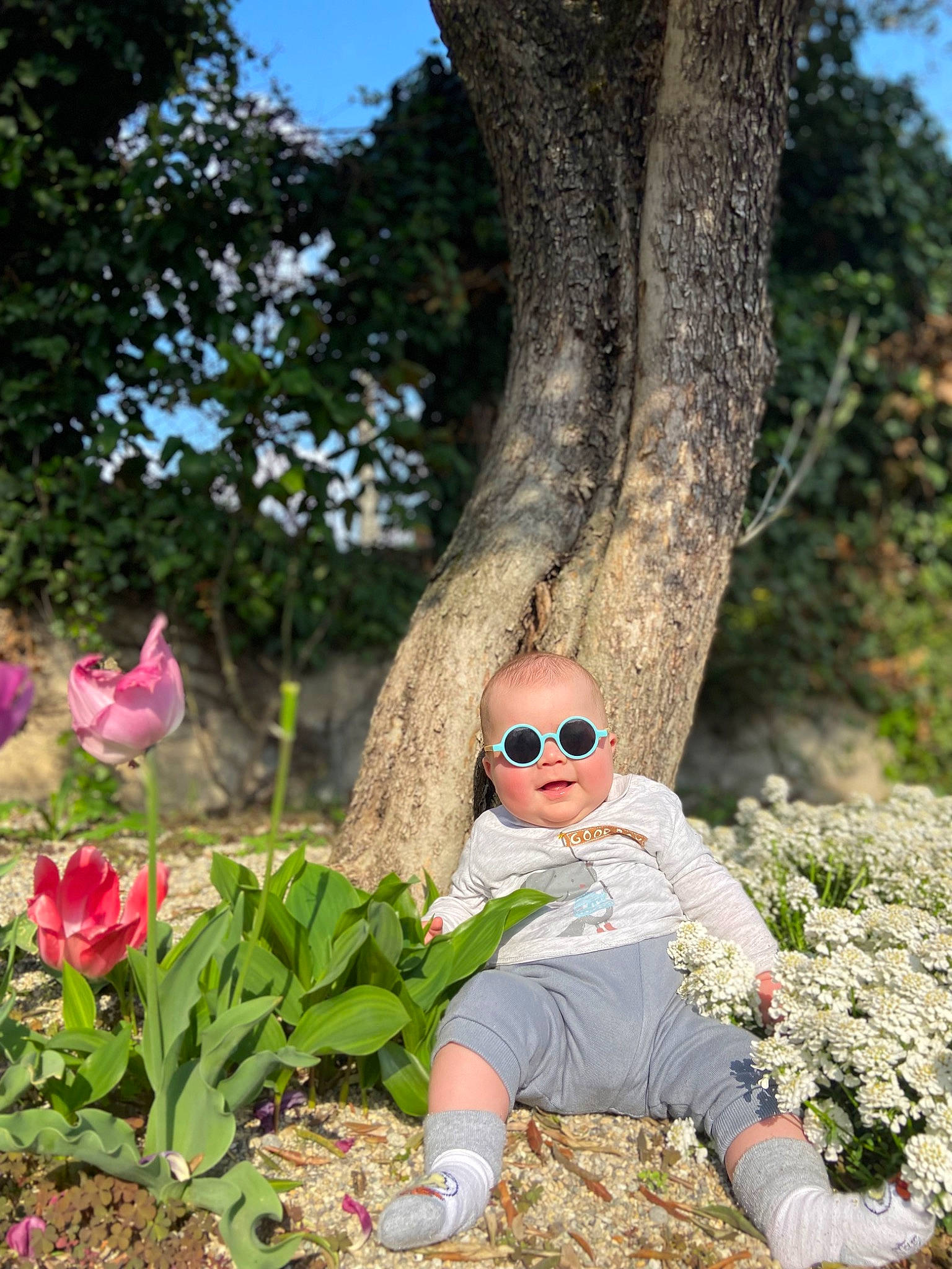 Livio a rejoint le concours — aidez-le/la à gagner de superbes lots ! botany, eyewear, flower, goggles, grass, happy, landscape, leaf, leisure, nature, people, people_in_nature, person, petal, pink, plant, smile, sunglasses, tree, trunk